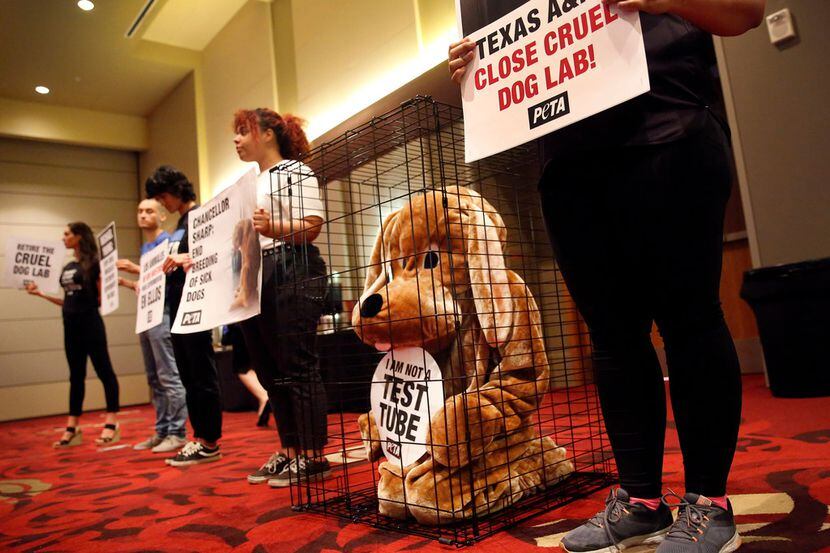 PETA supporters, including Shane Phoenix dressed as a dog in a cage, silently protested from...