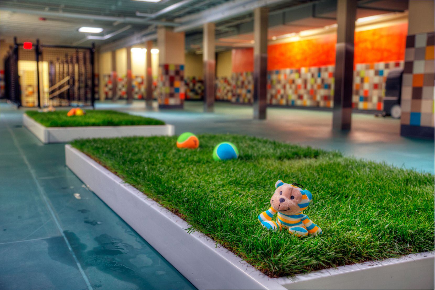 Pooch Hotel features indoor live grass for dogs to use the restroom.
