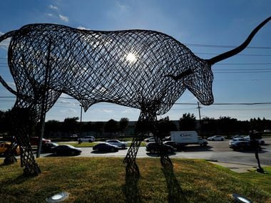 A large longhorn made out of steel looms over evening rush hour along Belt Line Road at...