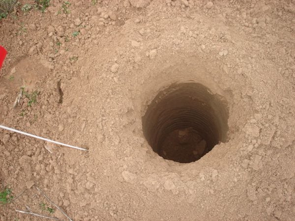 Small, smooth-sided holes are harmful and should never be used when planting trees.