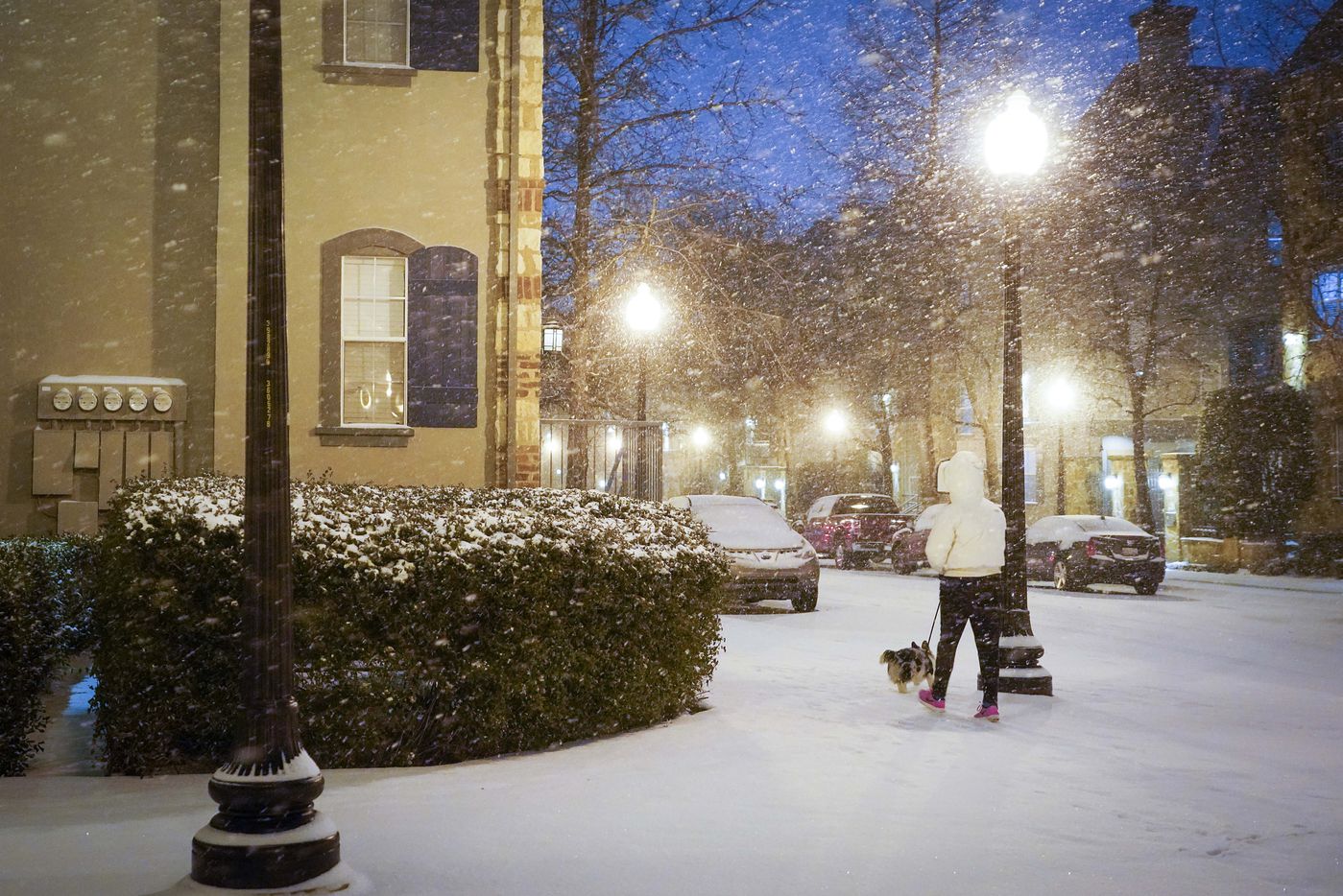 A woman walks a dog on Thomas Avenue near Griggs Park as a winter storm brings snow and...