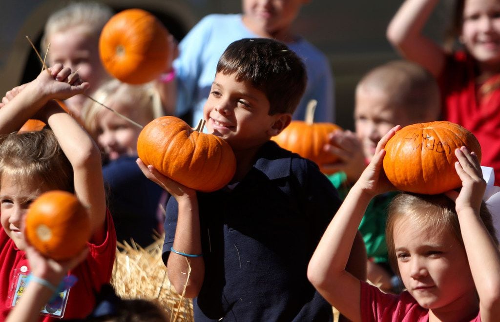 Kids will get to decorate pumpkins at Pumpkins on the Plaza and Glow Party at Dallas City Hall.