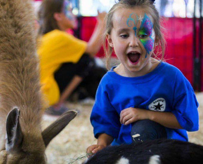 A young girl reacts to animals at a petting zoo. 