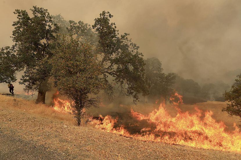 El fuego consume zonas silvestres en Spring Valley, Calif. el norte de California.(AP)
