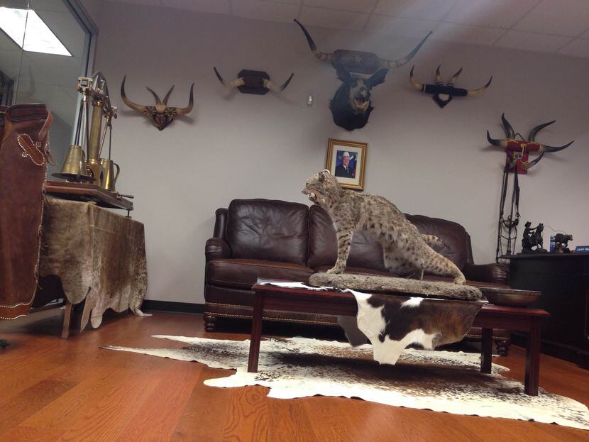  A look at one wall inside the lobby of the Texas Department of Agriculture. (Tom...