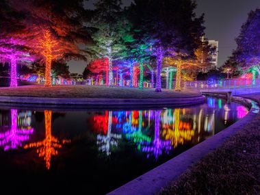 Addison’s Vitruvian Lights, which features more than 550 illuminated trees wrapped in 1.5...