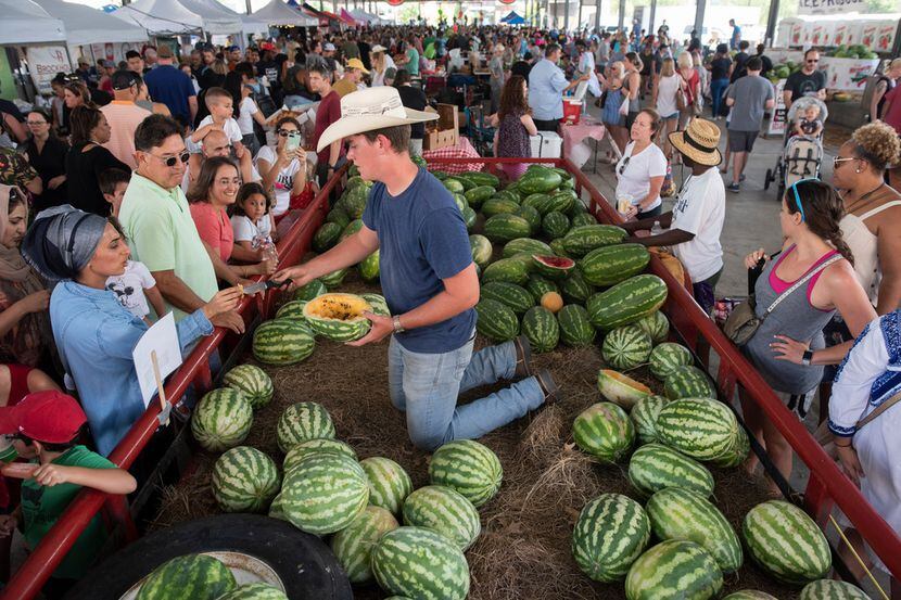 Josh Whitman cuts up samples of watermelons at the Dallas Farmers Market.