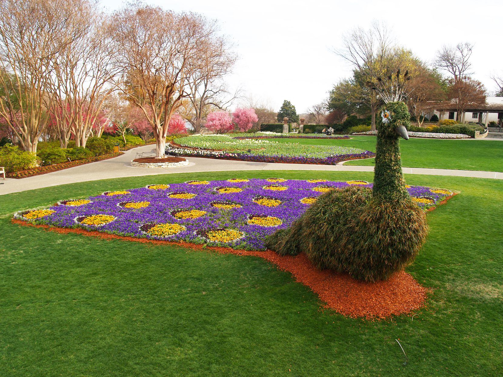 El Dallas Arboretum presenta su evento primaveral Dallas Blooms: Birds in Paradise que...