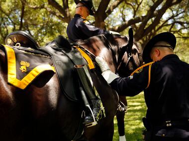 A lone boot is placed backwards in the stirrups of Dallas police riderless horse Cash,...