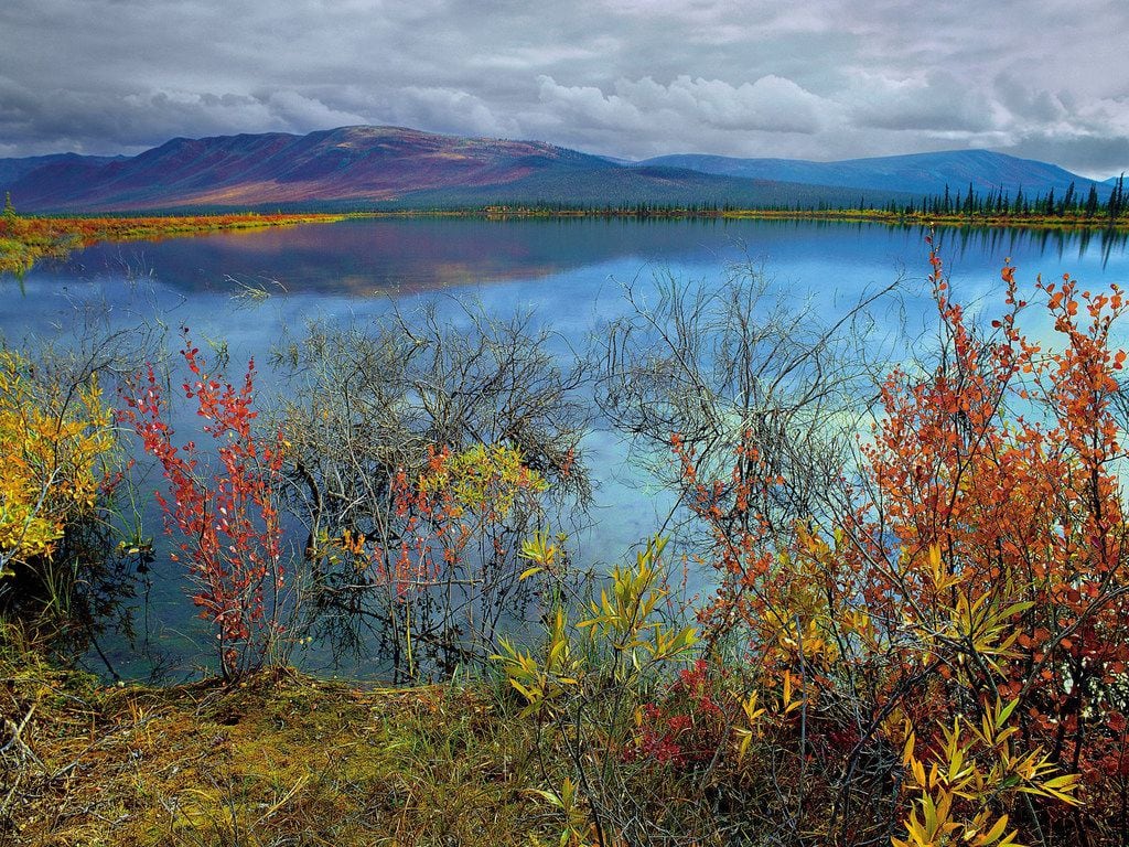 The Arctic National Wildlife Refuge in Alaska is in danger of being opened to oil and gas...