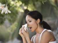 Para las personas que sufren alergias la irritación en los ojos y ataques de tos, entre...