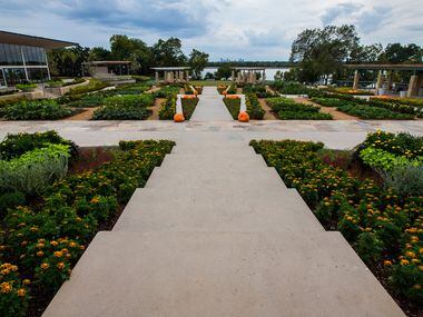 The new Tasteful Place edible garden at the Dallas Arboretum overlooks White Rock Lake and...
