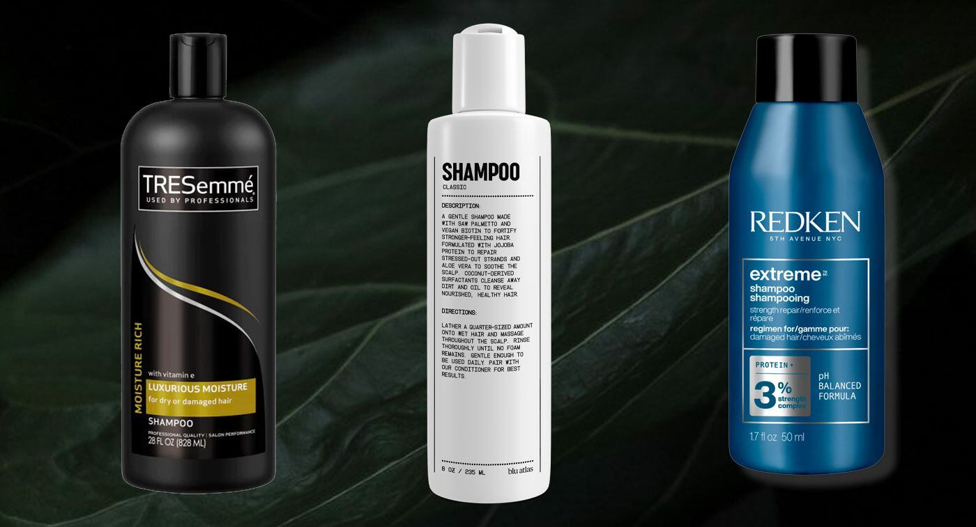 Dag opbevaring Modig Best Shampoos for Damaged Hair in 2023