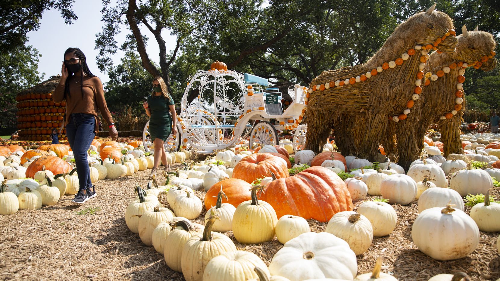 Visit The Dallas Arboretum's 100,000 Pumpkin Fall Festival In 2022