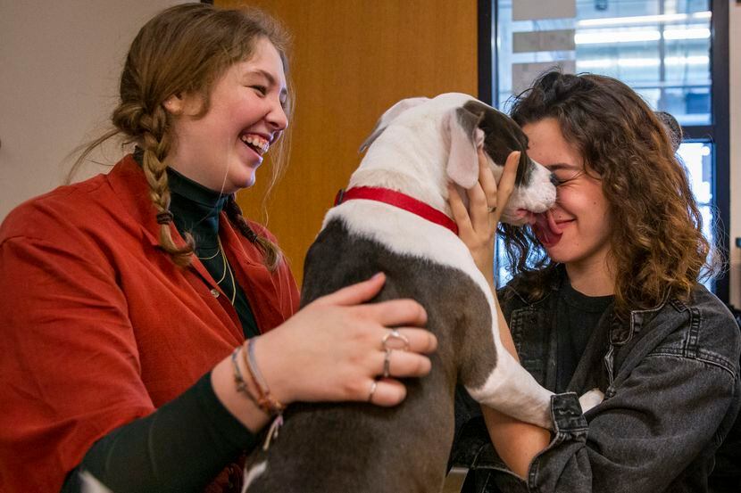 Hailey Winn (left) and Daniela Rodriguez play with their canine model Ruby Roo during an art...