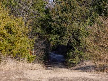 A trail entrance into a wooded section of the Ladd property pictured in Duncanville, Texas,...