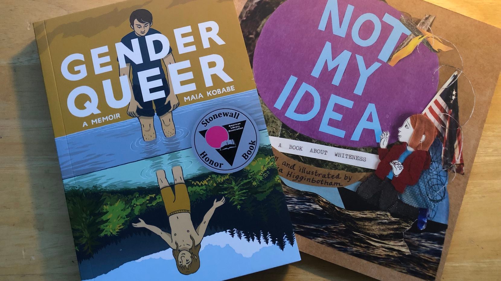 Book covers of Gender Queer by Maia Kobabe and Not My Idea: A Book About Whiteness by Anastasia Higginbotham. Both recently banned by Texas and Florida schools. 

Covered by Bookstr News