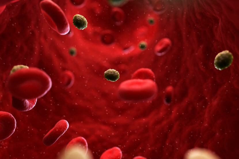 Una infección de viruela en la sangre, según una imagen recreada con computadora.