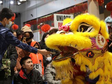 Visitors at Cali Saigon Mall in Garland watch a dragon dance. Lunar New Year celebrations take place at several area locations this weekend.