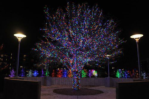 Ver las luces navideñas en Vitruvian Park en Addison es gratuitio para el público....
