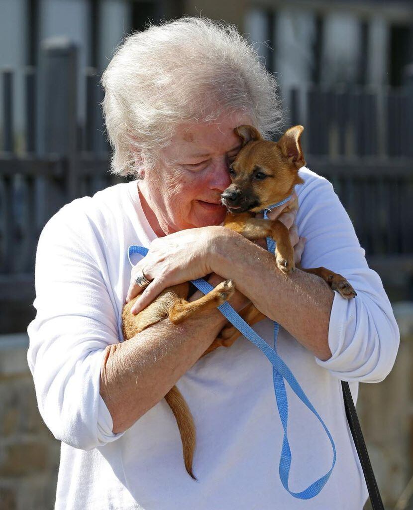 Diana Lepsch junto a Lucky, el nuevo perrito que adoptaron para su nieta.DMN