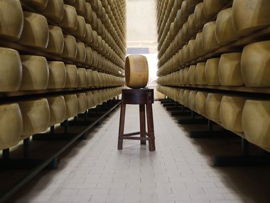 In this photo taken Tuesday, Oct. 8, 2019, Parmigiano Reggiano Parmesan cheese wheels are stored in Noceto, near Parma, Italy.