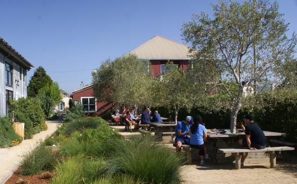 
Visitors can picnic in the garden of Cowgirl Creamery in Point Reyes Station.
