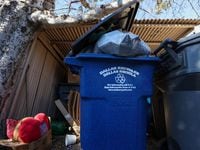 Trash and recycling bins sit in an alleyway of Hawthorne Avenue in Dallas on Wednesday, Jan....