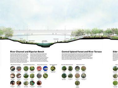 Plans for a park inside the Trinity River levees as shown Tuesday, Dec. 4, 2018. 