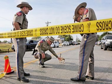 Texas State trooper John Henke visits with a kitten who wanders by the blockcade on the road...