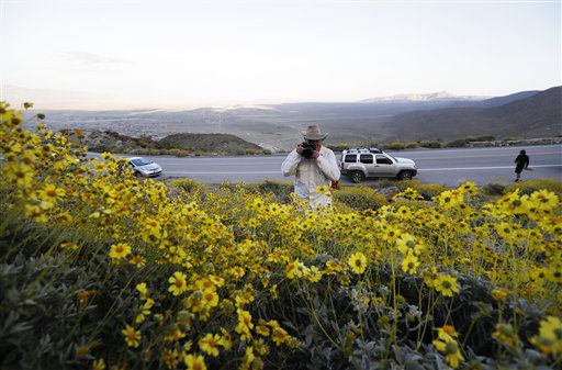Jim Long, guardabosques retirado de San Clemente, California, toma fotos de flores...