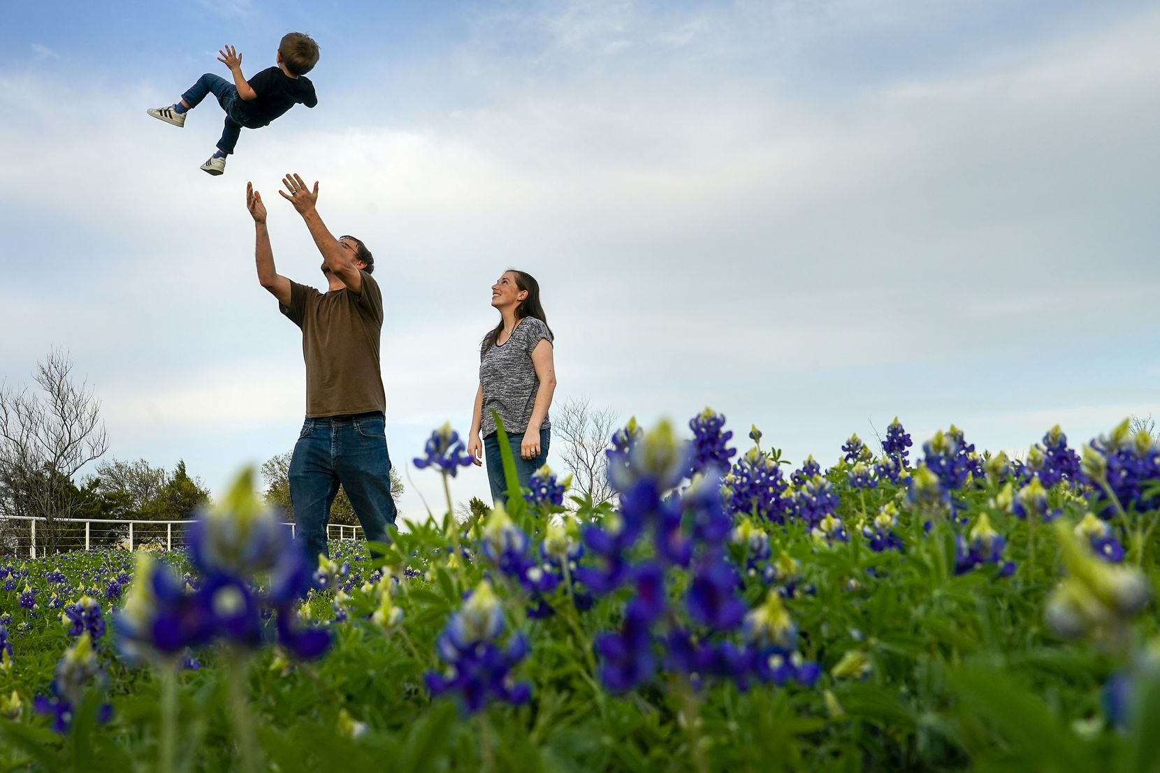 John Wallace tossed his son Ryan, 3, into the air as he and his wife Kim, stood in a field of bluebonnets near Zion Cemetery in Frisco. In a springtime tradition, the family visits the same field every year for a new photo.
