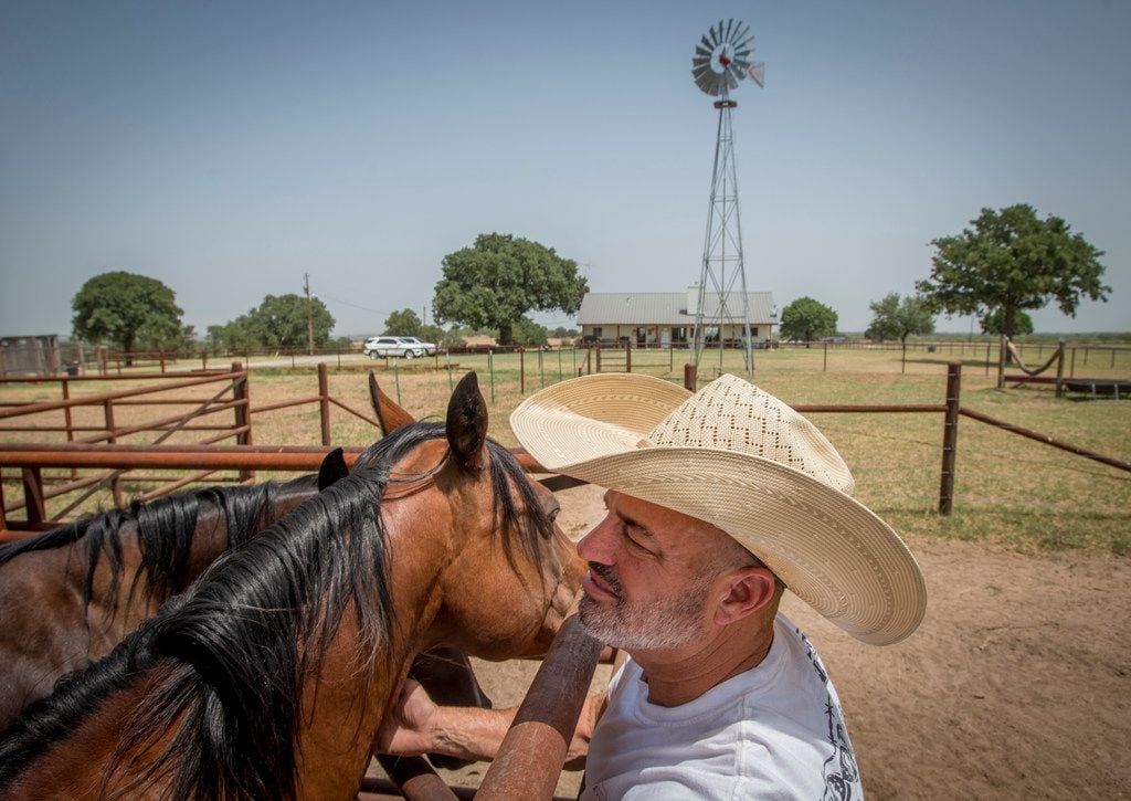 Mike Newton, known as the Cowboy Chef, pets one of his horses in the corral back of his...