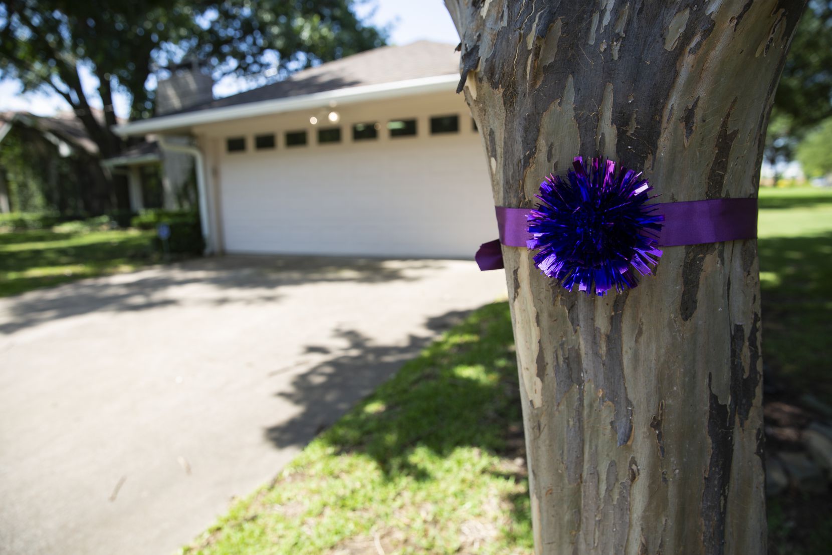 Neighbors have dressed the trees lining the Baker home with violet ribbons in honor of Leslie Baker's memory.