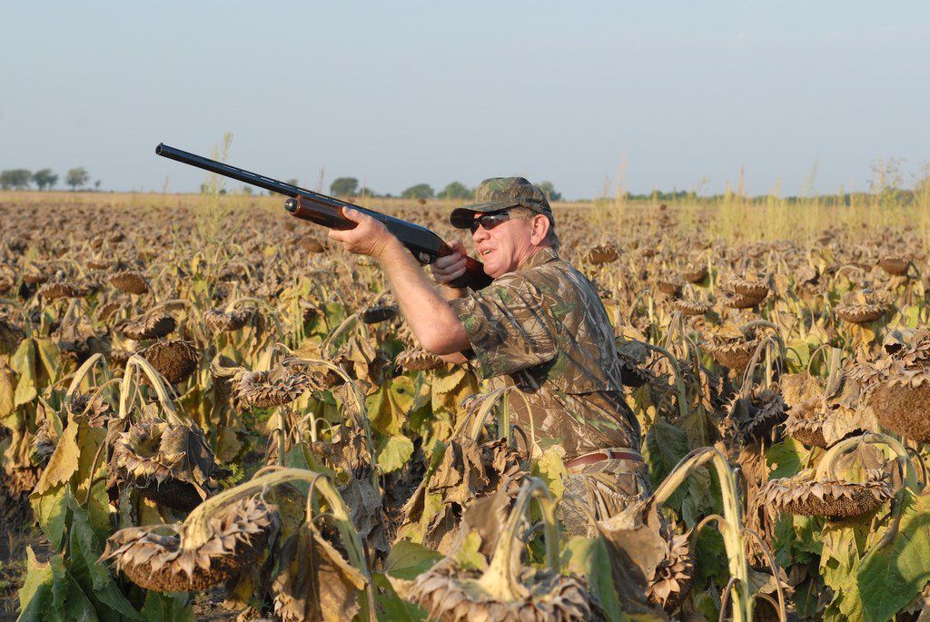TPWD s Private Lands Dove category continues to remain popular with Texas wingshooters....