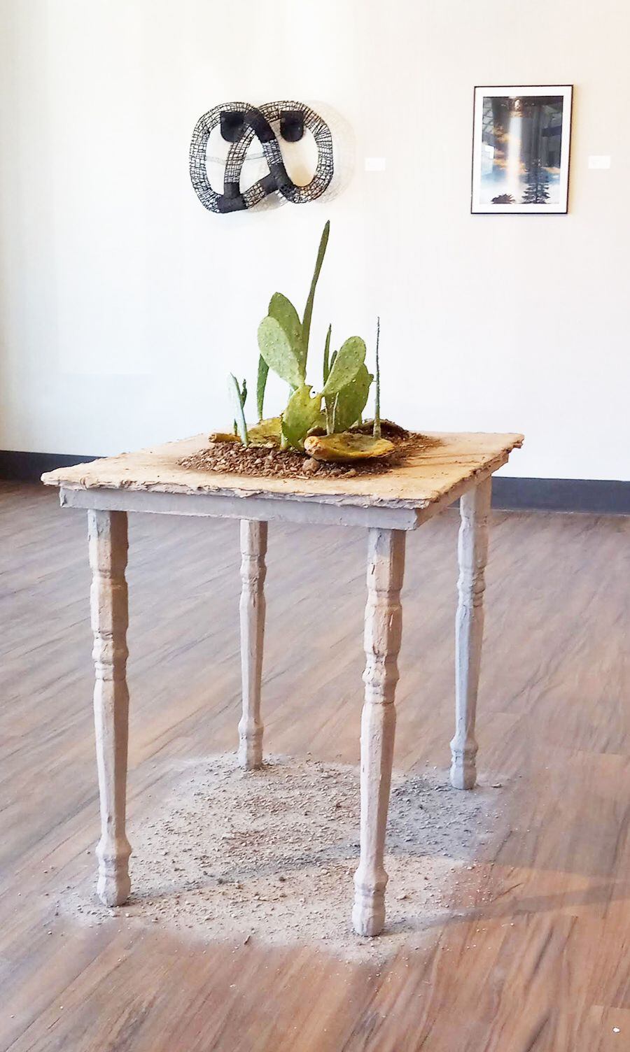 Carla García utiliza tierra y cactus para reconstruir sus paisajes desérticos "Vida." Su trabajo es...