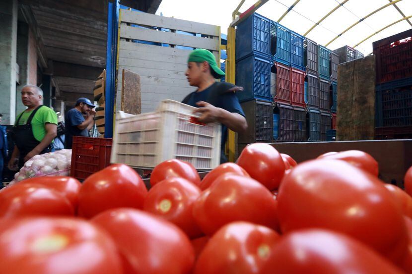Exportaciones de tomates de México a Estados Unidos. AGENCIA REFORMA.
