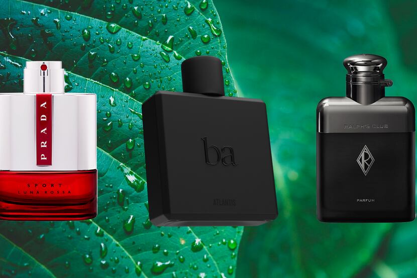The 14 Sexiest Colognes for Men