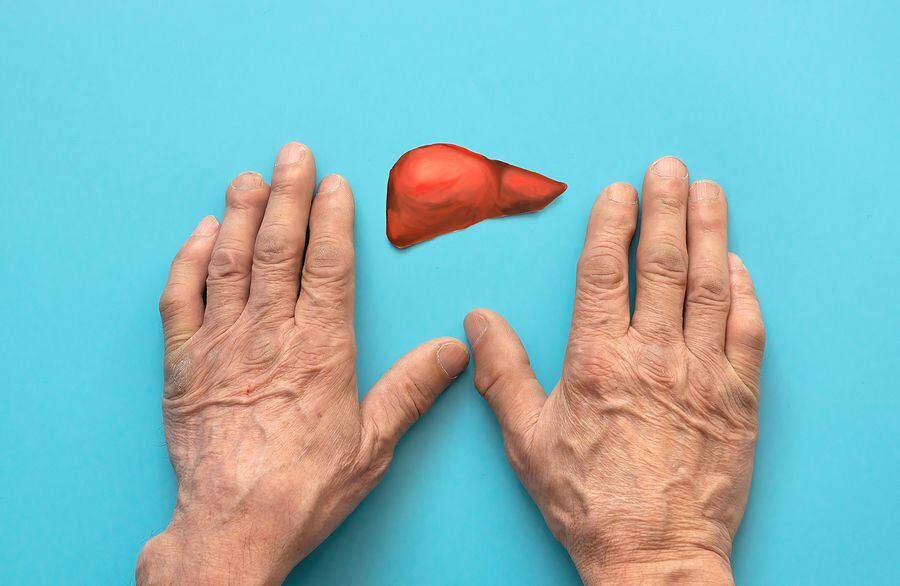 hands of an old man and a paper-cut liver symbol on a blue background. restoration of liver...