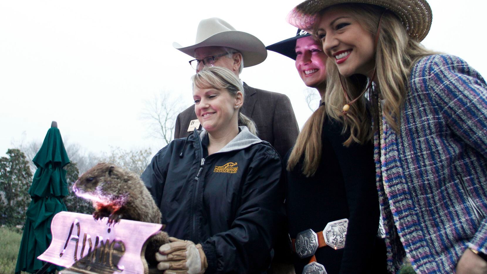 Annie the groundhog emerged at the Dallas Arboretum on  Feb. 2,  without seeing her shadow. On hand for the traditional event was (from left): Alan Walne, vice chairman of the arboretum's board of directors; handler Courtney Pineda; Robin Carreker, chairwoman of the arboretum's Public Events Board; and WFAA meteorologist Colleen Coyle. 