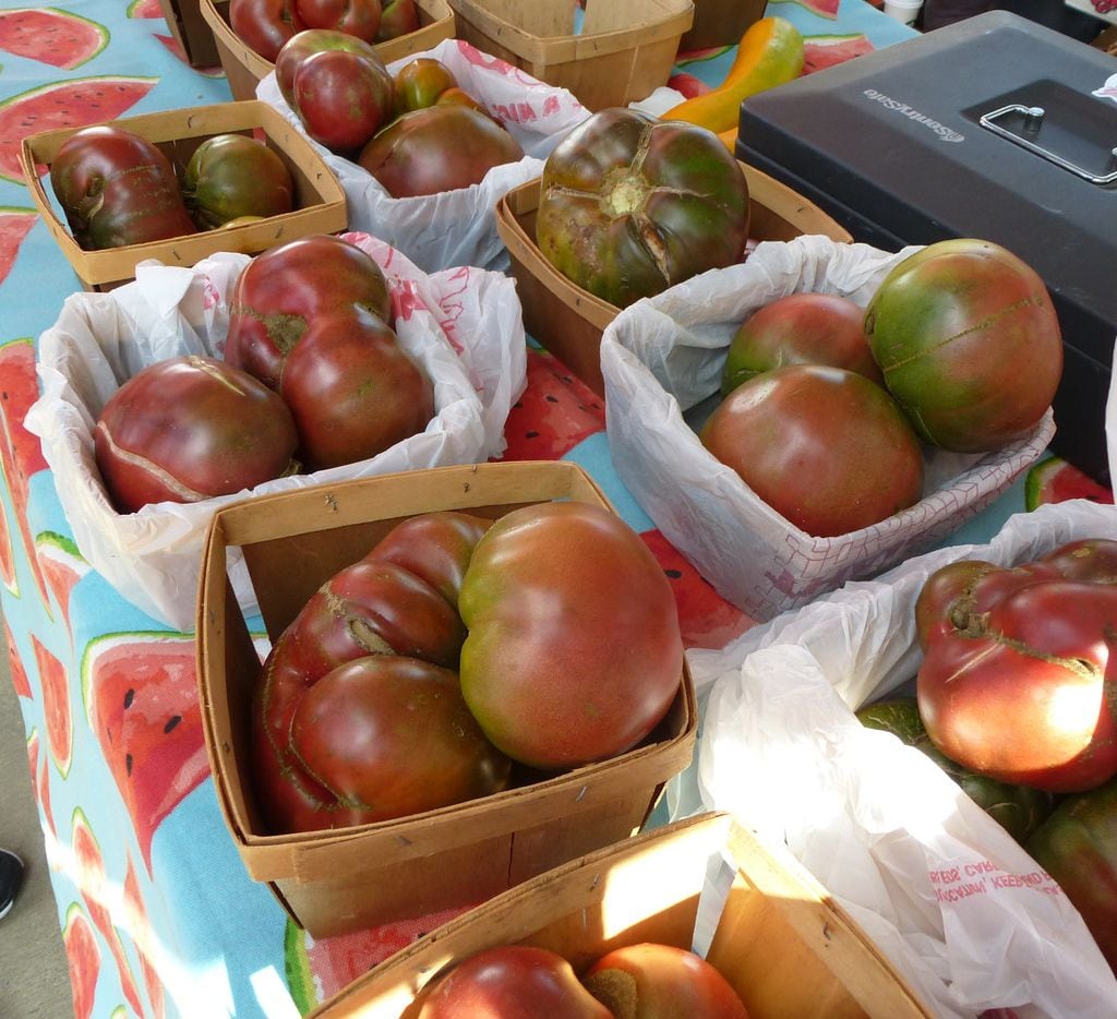 Imperfect but delicious Purple Cherokee tomatoes are part of the Baugh Farms harvest at St....