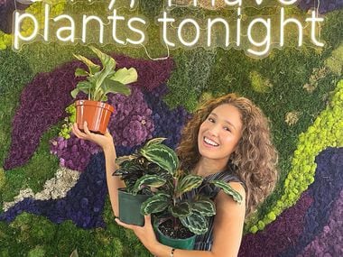 Karina Salinas opened Habitat Plants + Coffee in downtown McKinney.