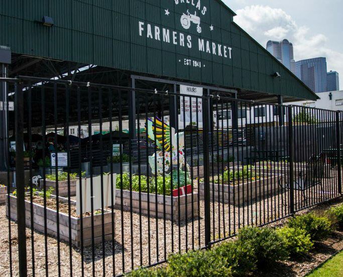 Downtown Dallas buildings peak from behind the Dallas Farmers Market on Saturday, June 18,...