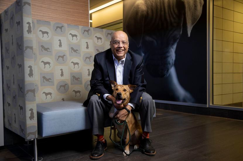 SPCA of Texas president and CEO Chris Luna poses with Kiefer, a 1-year-old mixed breed dog,...