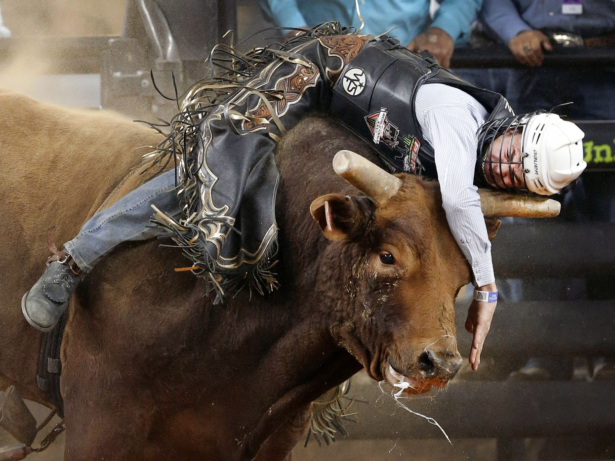 Bull rider Kyler Oliver is thrown down onto bull  Struttin Stuff's horn during the finals...