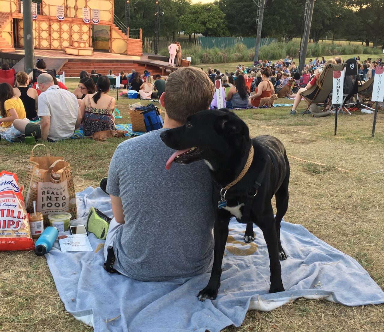 Dog About Town: Taking your pooch to a play and more things to do