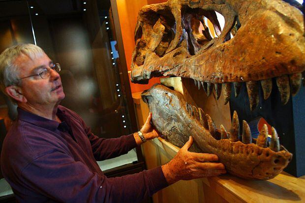 Rick Rolater with a Tyrannosaurus Bataar skull displayed in his Colorado gallery in 2007.