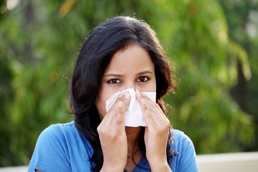 Si está estornudando mucho es posible que sea el polen. 
