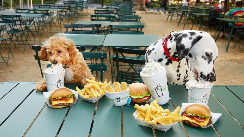 All of Shake Shack's patios are dog-friendly.