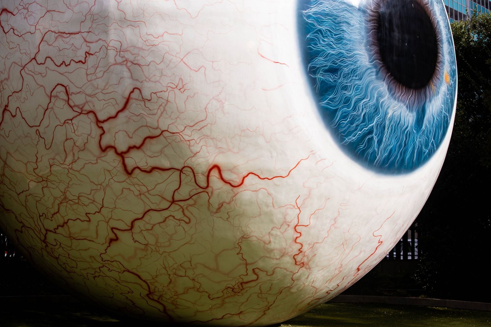 Tony Tasset’s giant sculpture, "Eye," is based on the artist's own blue eye.